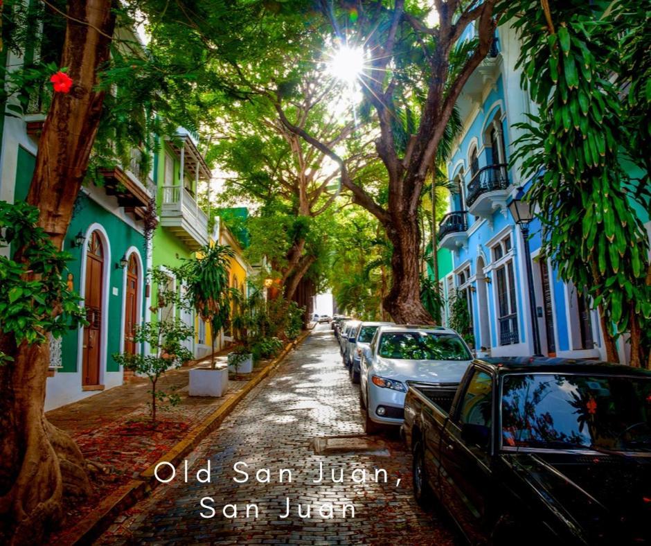 Bee Inn Puerto Rico Charming Urban Apartment In San Juan Kültér fotó